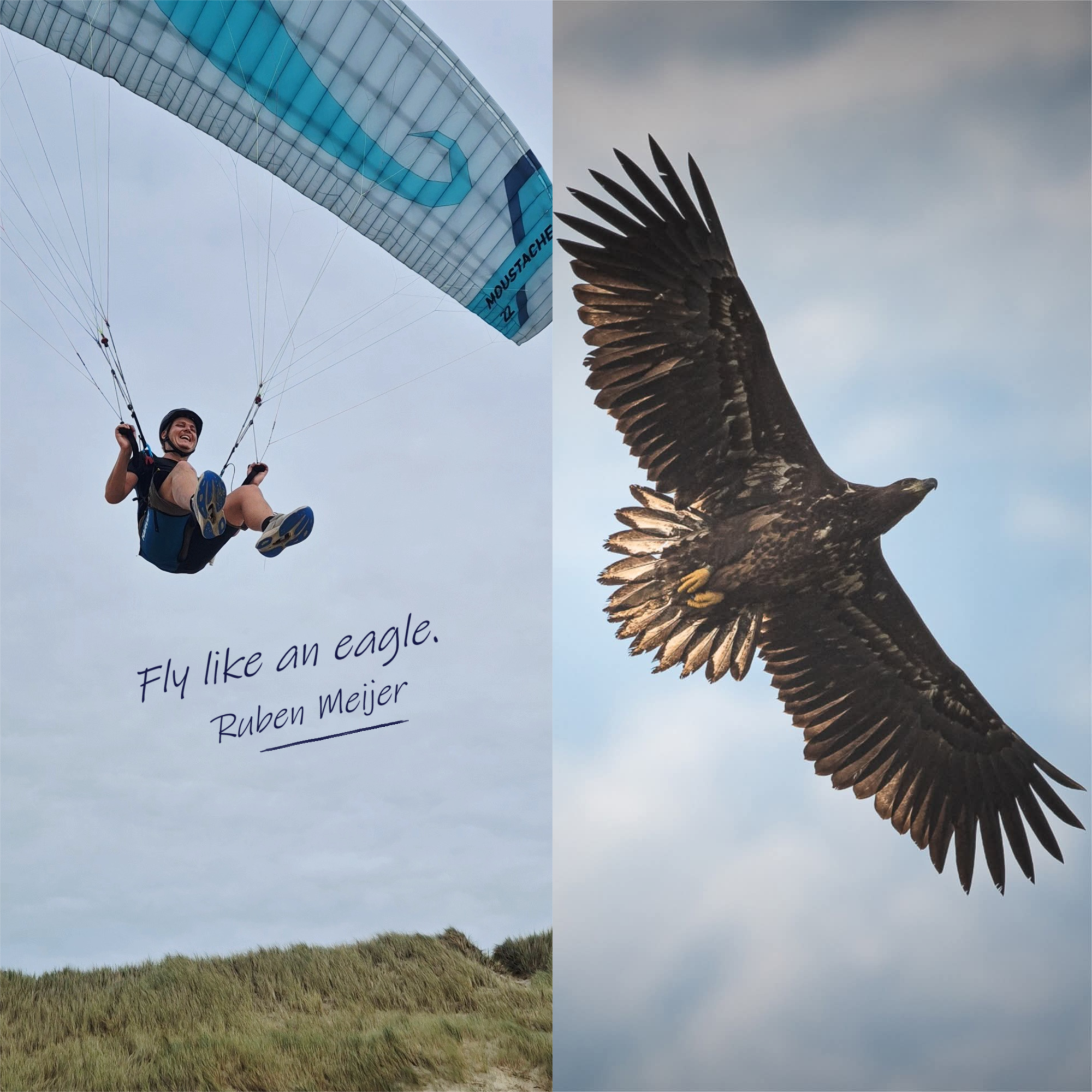 Fly like an eagle.